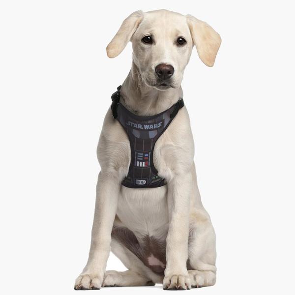 Harnais Pour Chien Star Wars Xxs/xs Noir