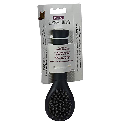 Le Salon Essentials Brosse À Poils – petite