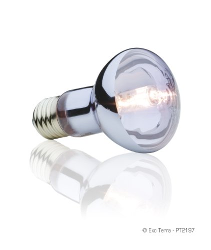 Exo Terra Exoterra Éclairage Pour Reptiles Lampe Halogène Baskingspot 25 W