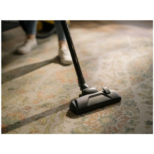 Carpet Cleaning: Wet & Dry