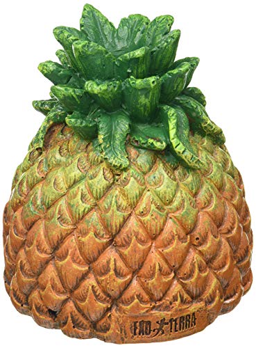 Exo Terra Cachette Ananas Tiki