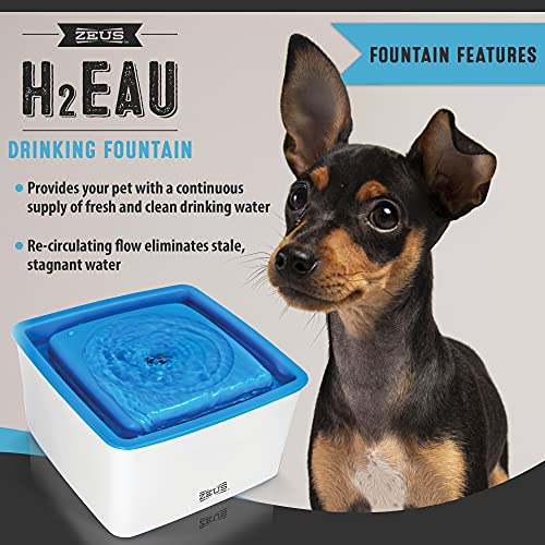 Zeus Dog Mini Fontaine À Eau Pour Petit Chien Et Chiot 1,5l