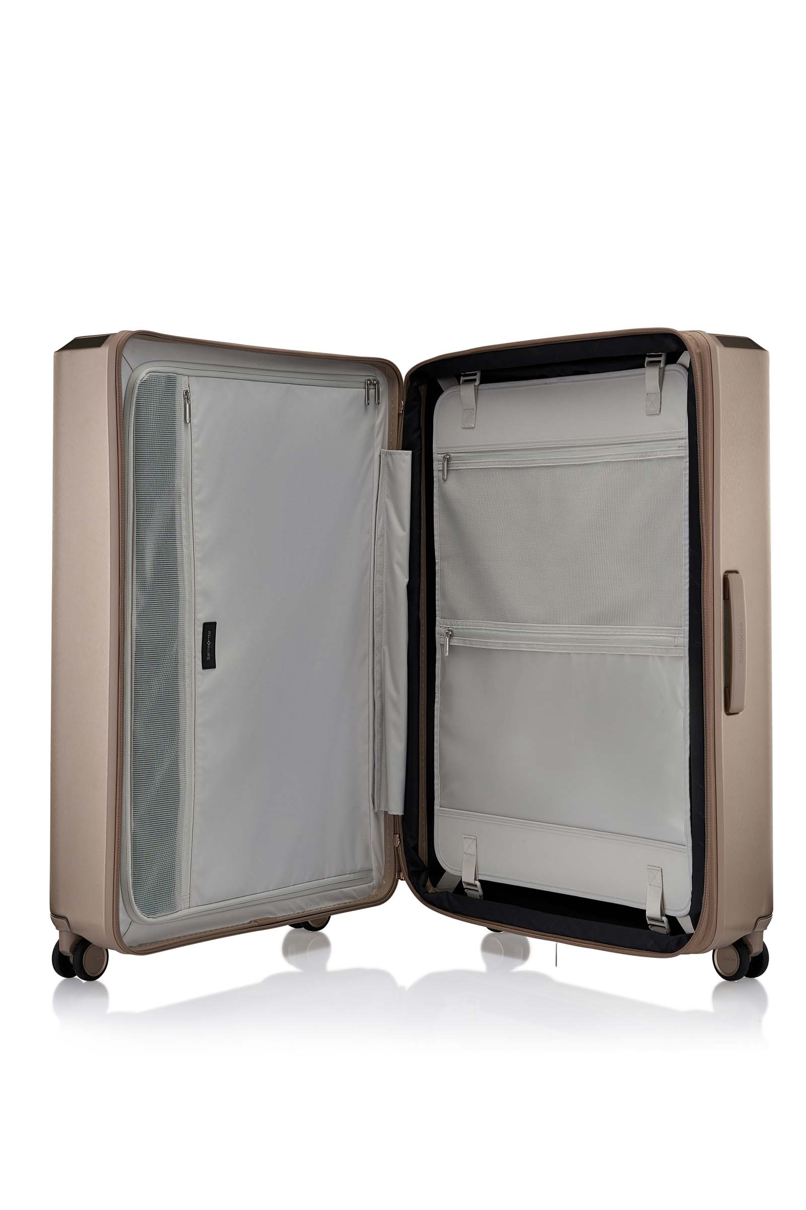 Samsonite Check-in Luggage