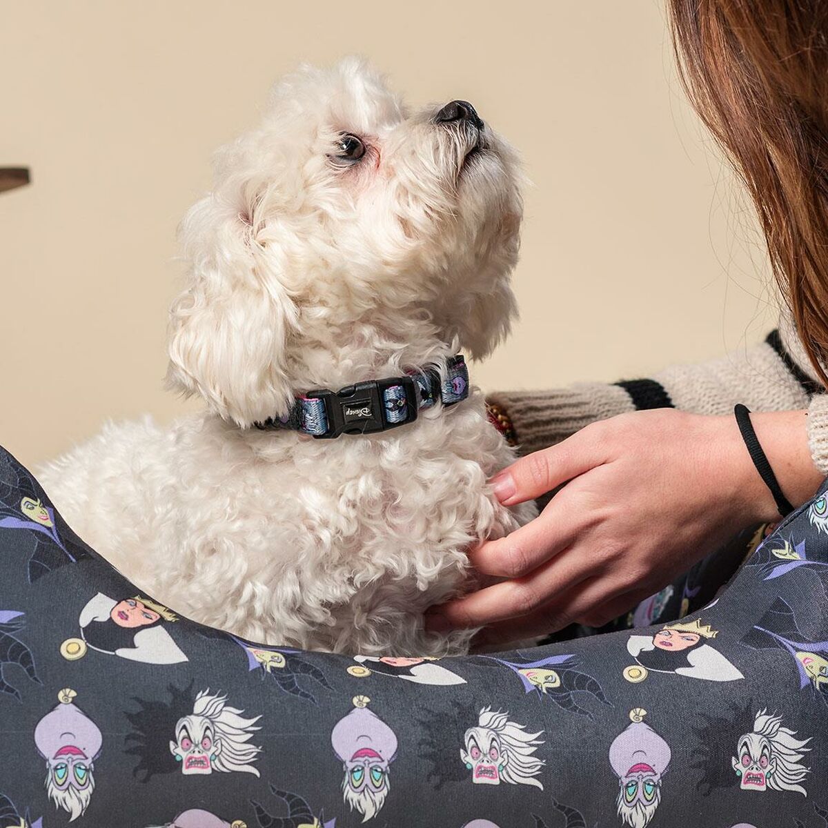 Collier Pour Chien Disney Xxs/xs Gris