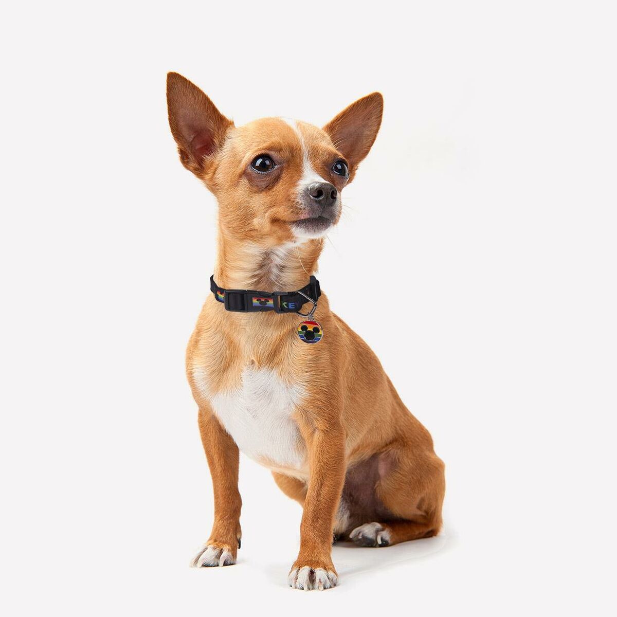 Harnais Pour Chien Disney Xxs/xs Multicouleur 100 % Polyester