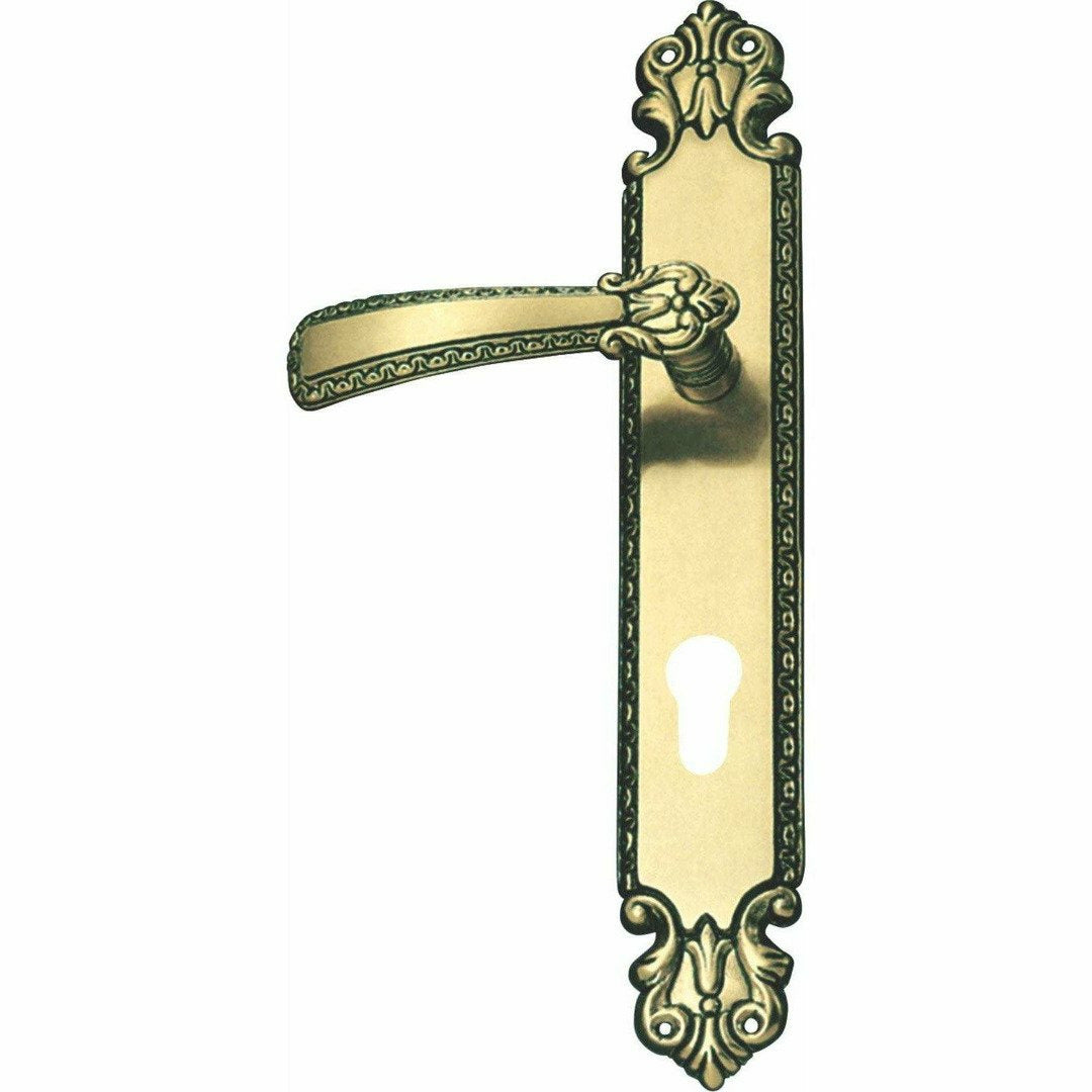 Antique spanish lever handle on plate