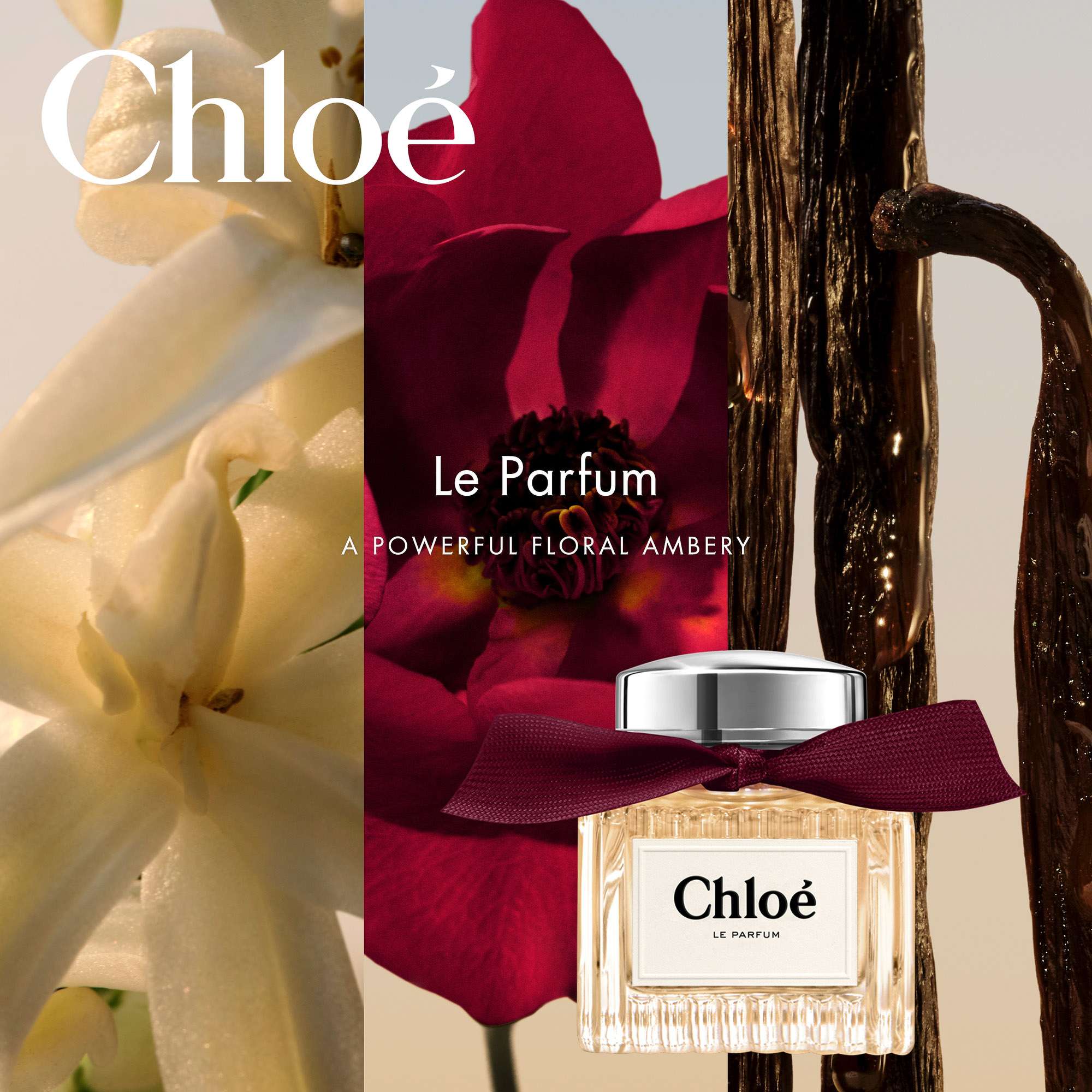 Chloé Signature Le Parfum Spray dam – bild 2