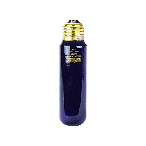Exoterra Ampoule Night Heat Pour Reptiles Et Amphibiens 25 W