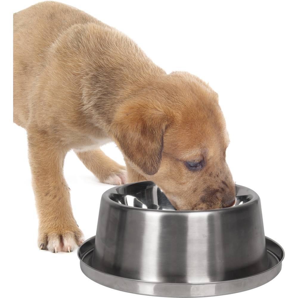 Gamelle Rafraichissante Ø 16 Cm, 840 Ml Pour Chien Flamingo