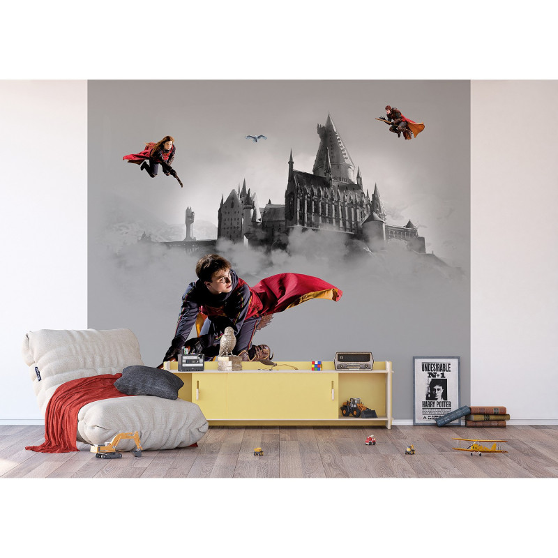 Poster Intissé Harry Potter Sur Son Balais 300 X 270 Cm à Prix Carrefour