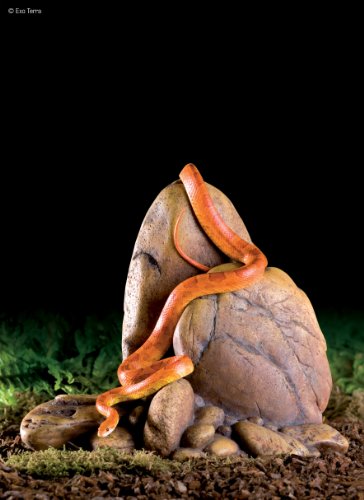 Exoterra Décoration Out Crops Petit Modèle 18x13x16 Cm Pour Reptiles Et Amphibiens