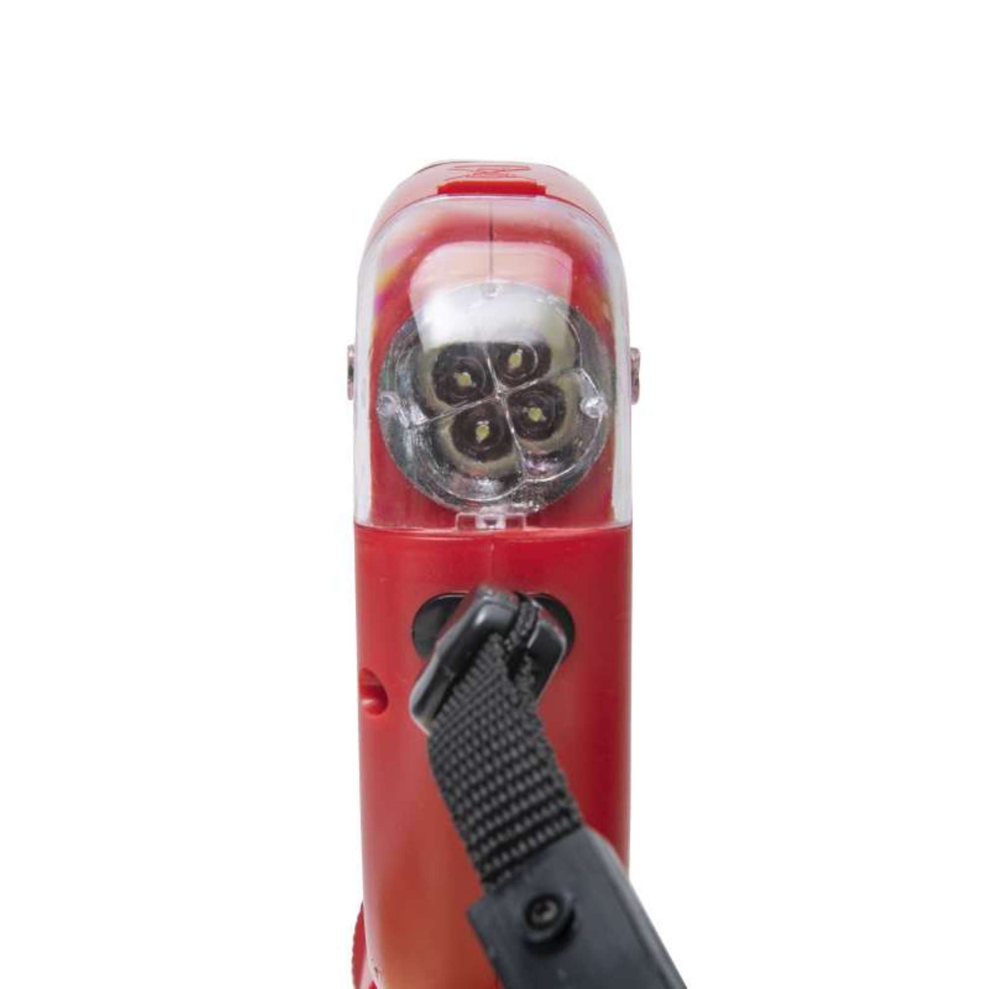 Laisse Rétractable 5m Pour Chien
