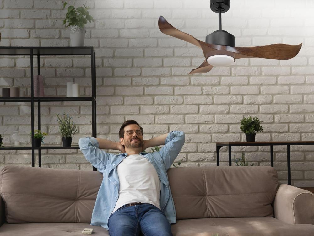 Ventilateur De Plafond