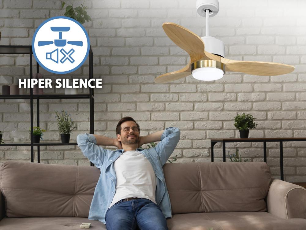 Ventilateur De Plafond
