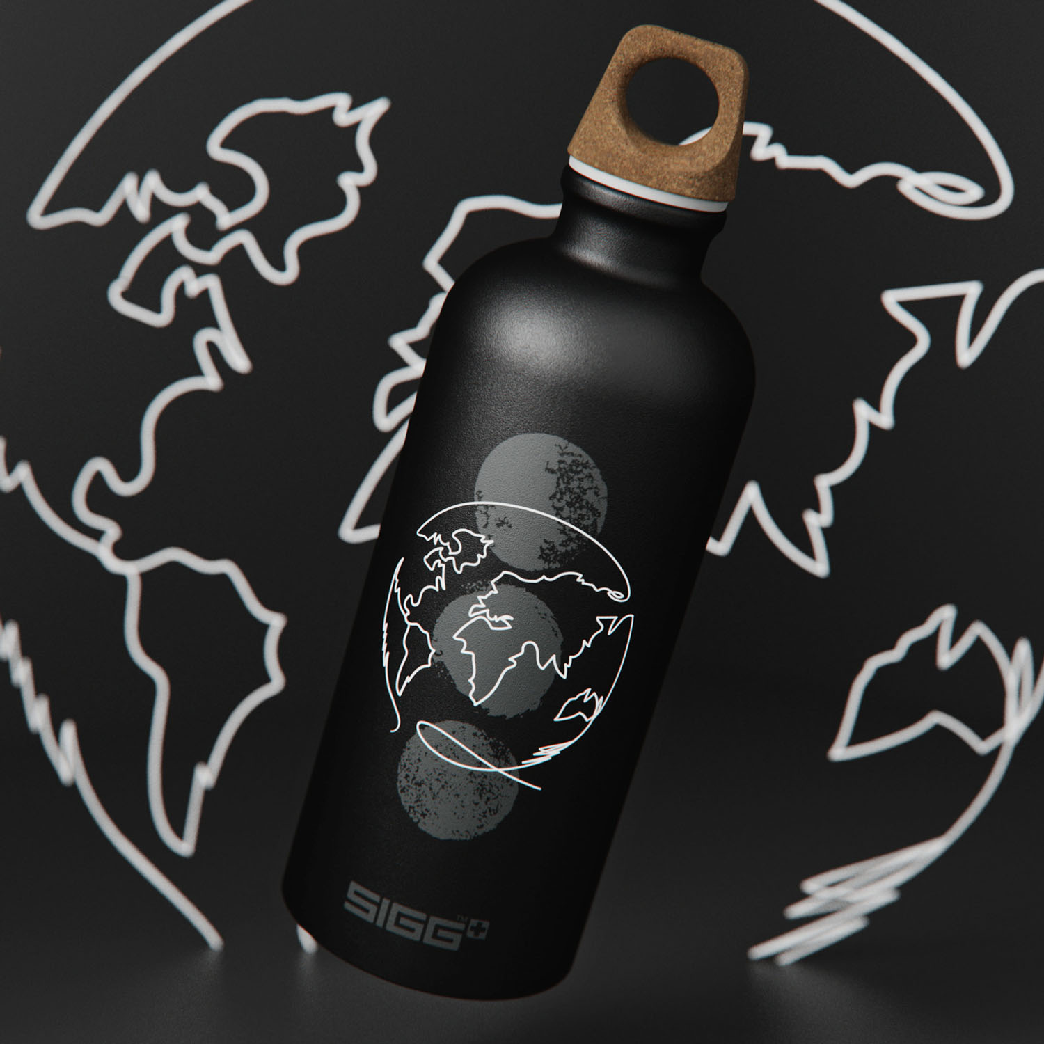 Gourde Sigg Traveller Myplanet Direction 0,6l