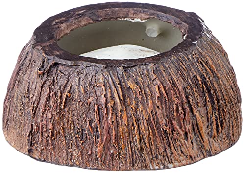 Exoterra Bol À Eau En Forme De Noix De Coco Pour Reptiles