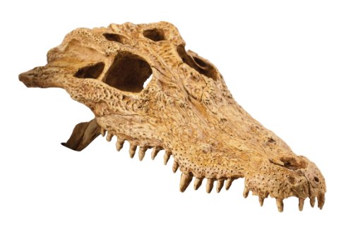 Exoterra Décoration Crocodile Skull Pour Reptiles Et Amphibiens 11x21x22 Cm