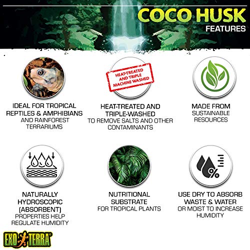 Exo Terra Coque De Noix De Coco, 4 L