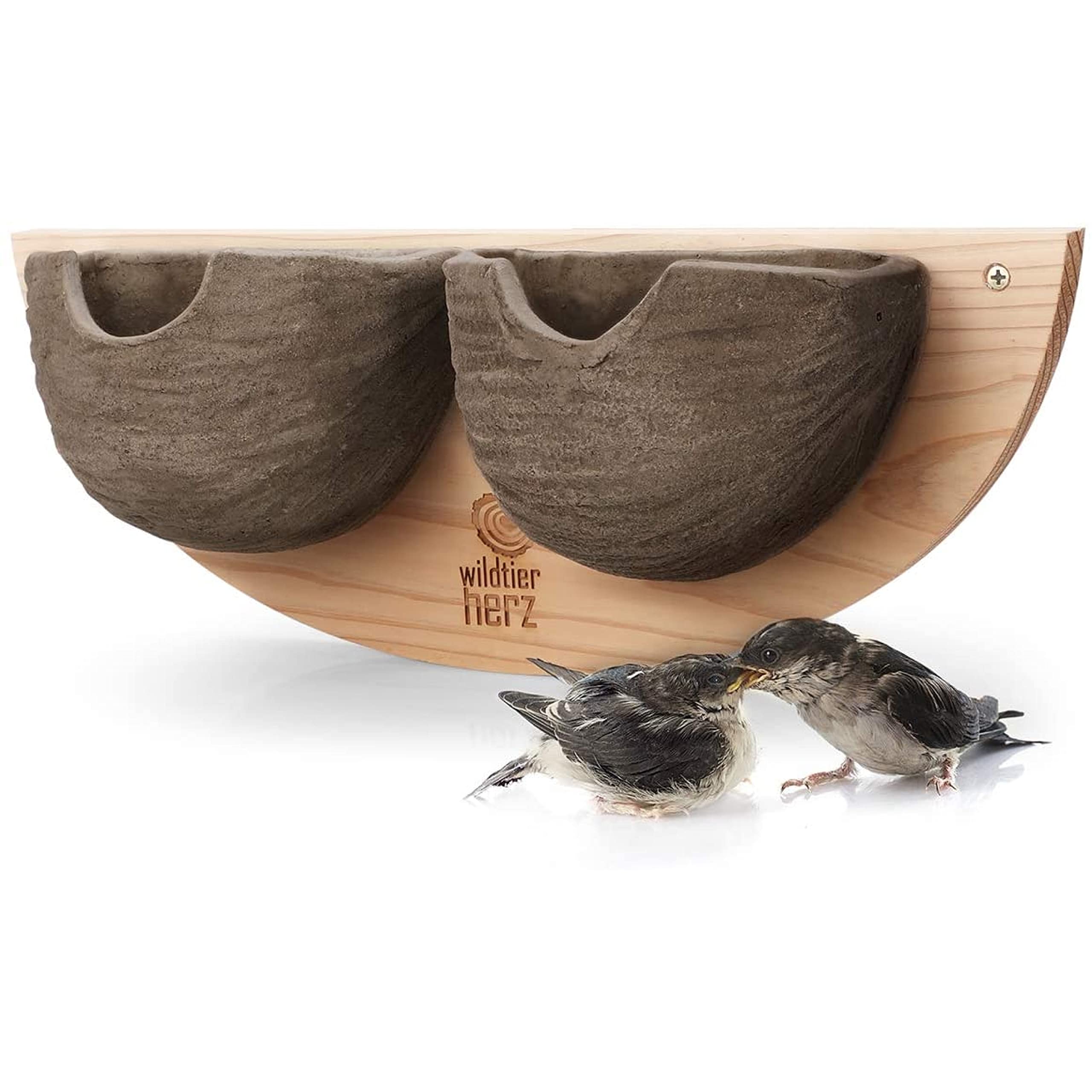 Nichoir Oiseaux En Bois Bleu GINDOOR - Panneau Acrylique Transparent - Perchoir Inclus - 14,5cm