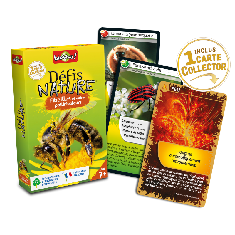Défis Nature Abeilles Et Autres Pollinisateurs