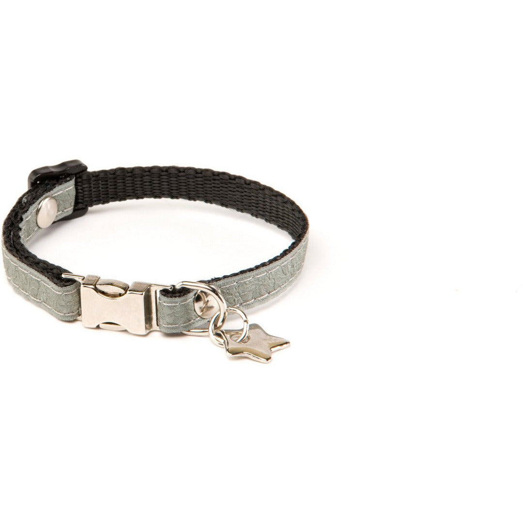 Collier Pour Chiens En Nylon Alter Ego  - L. 18 Cm À 28 Cm X L. 1 Cm