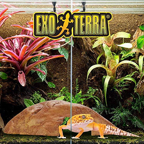 Exo Terra Hide Out Cave, Medium à Prix Carrefour
