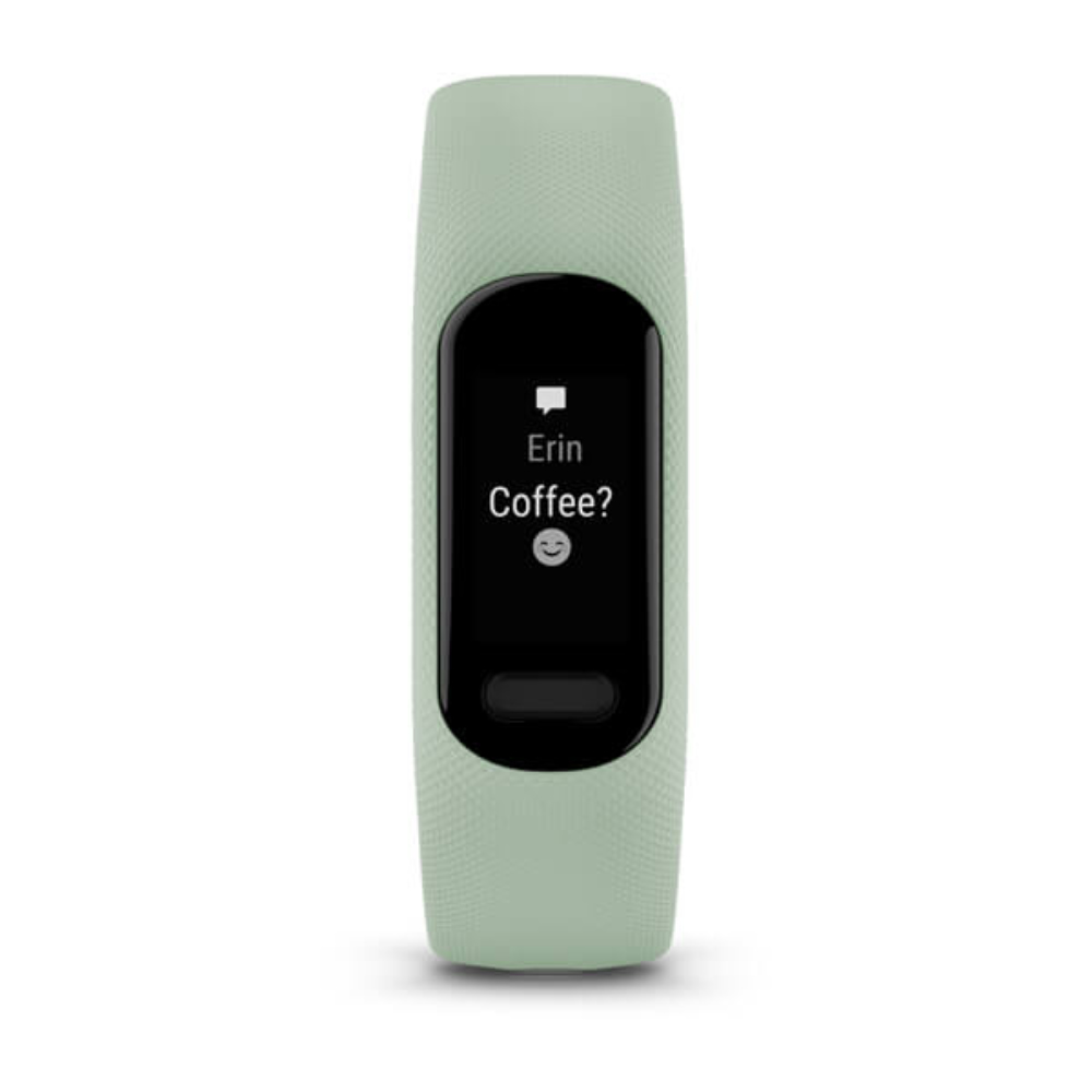 Garmin Vivosmart 5 Fitness Band
