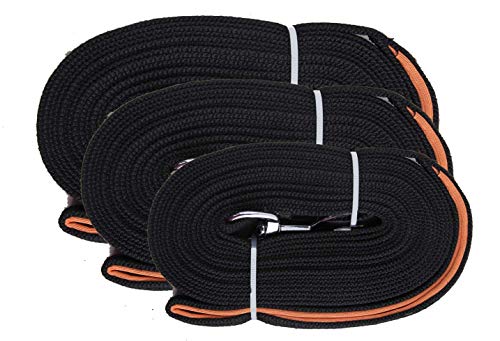 Pawise 13515 Laisse De Traçage Longe Pour Chien 10 m