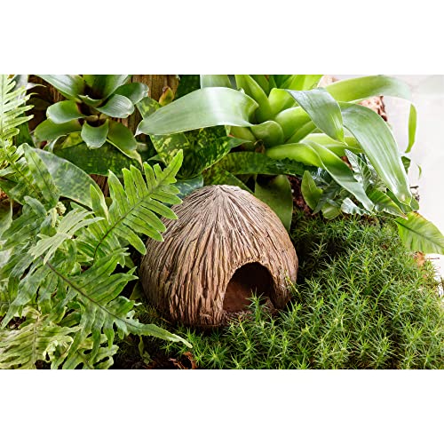 Exo Terra Coconut Cave Tana Refuge Pour Reptiles Terrarium