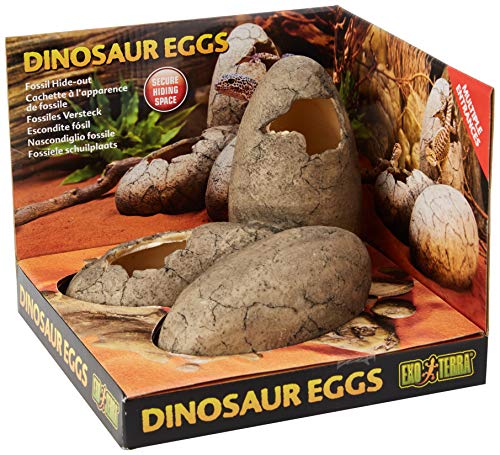 Exoterra Cachette Pour Reptiles Oeufs De Dinosaure Exo T