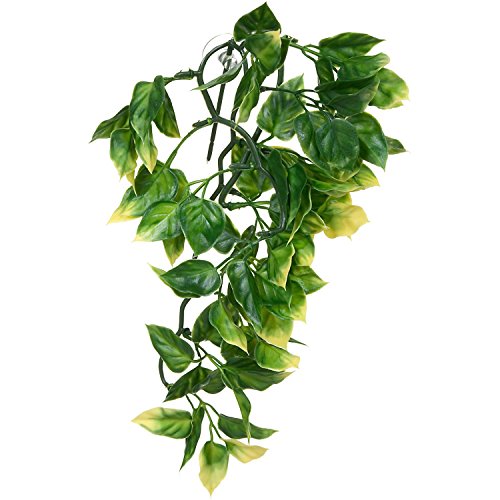 Exo Terra Exoterra Plante De Décoration Amapallo En Plastique Pour Reptile/amphibien
