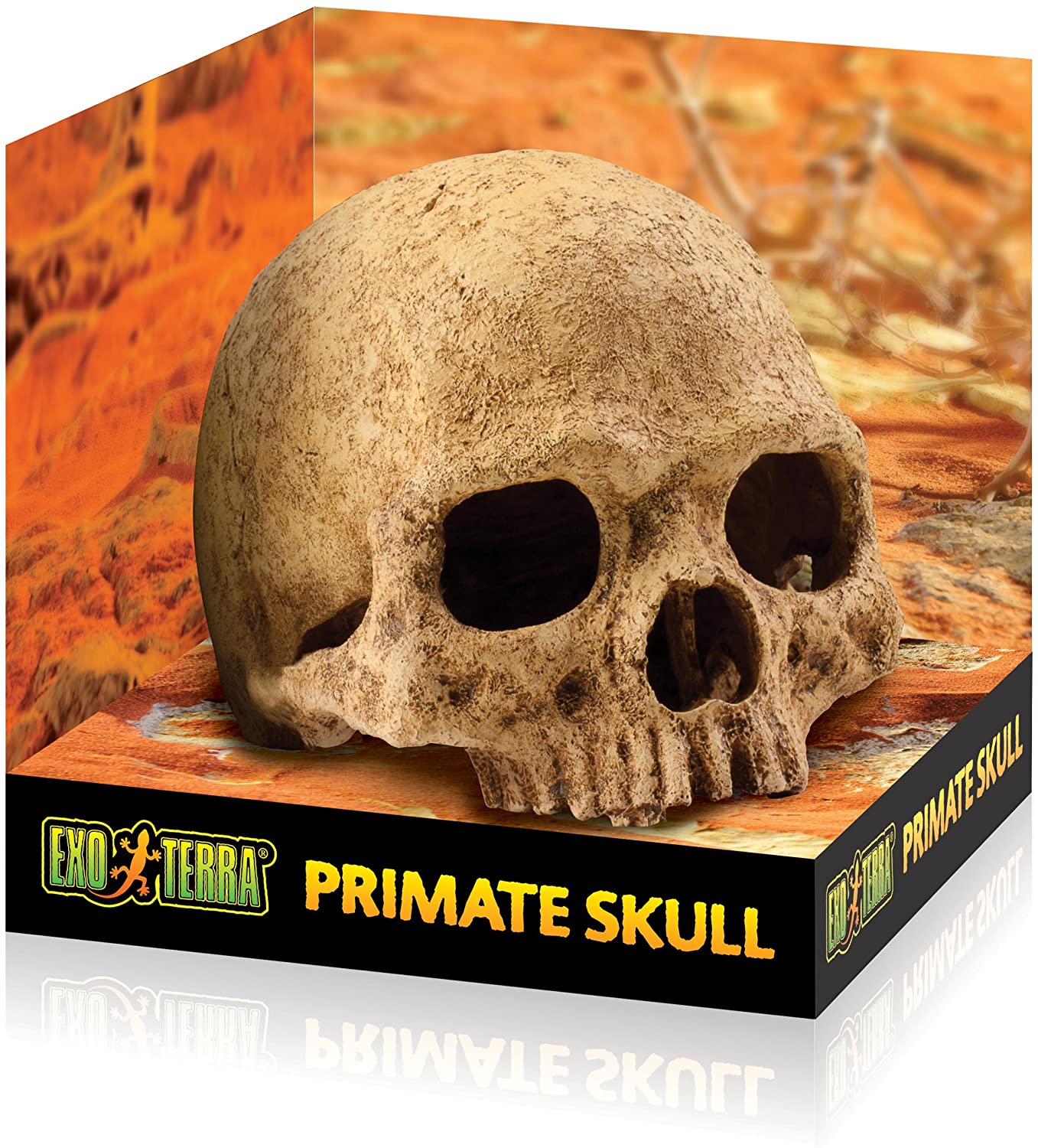Exoterra Crane Primate Décoration Pour Reptile Amphibien Grand