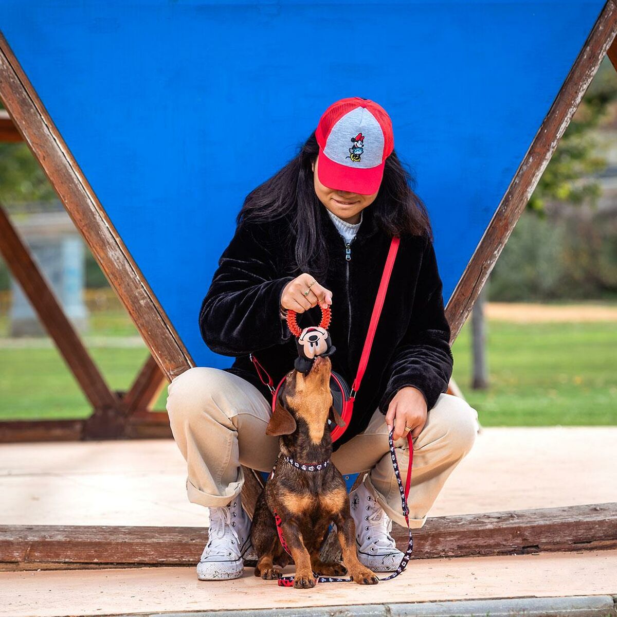 Jouet Pour Chien Mickey Mouse   Rouge