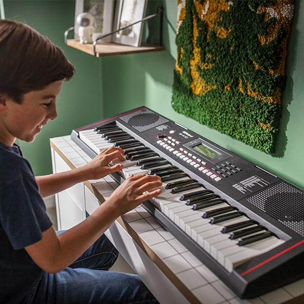 Roland 61 Keys Arranger Keyboard
