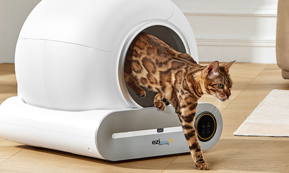 Litière Robot Connectée Maison De Toilette Pour Chat