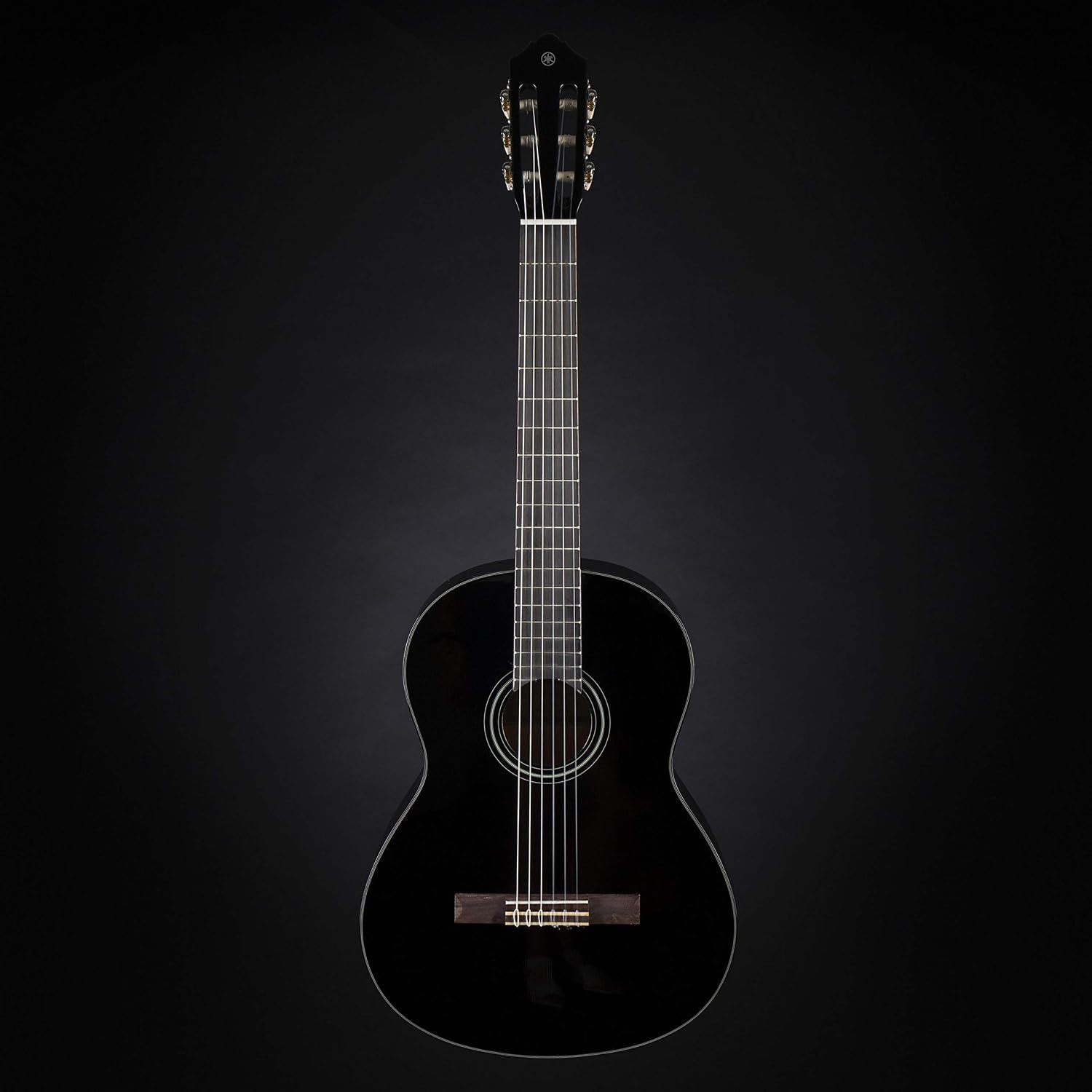 Yamaha Classical Guitar Beginner