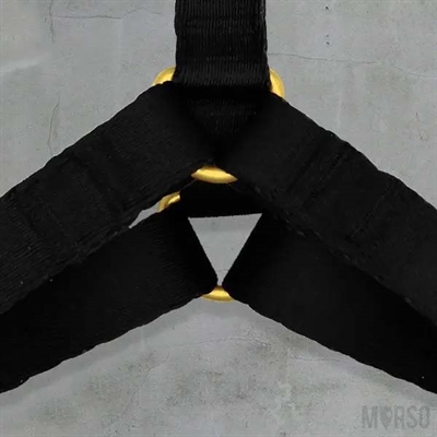 Harnais Pour Chien Morso H-h En Or Recyclé Caviar Gold