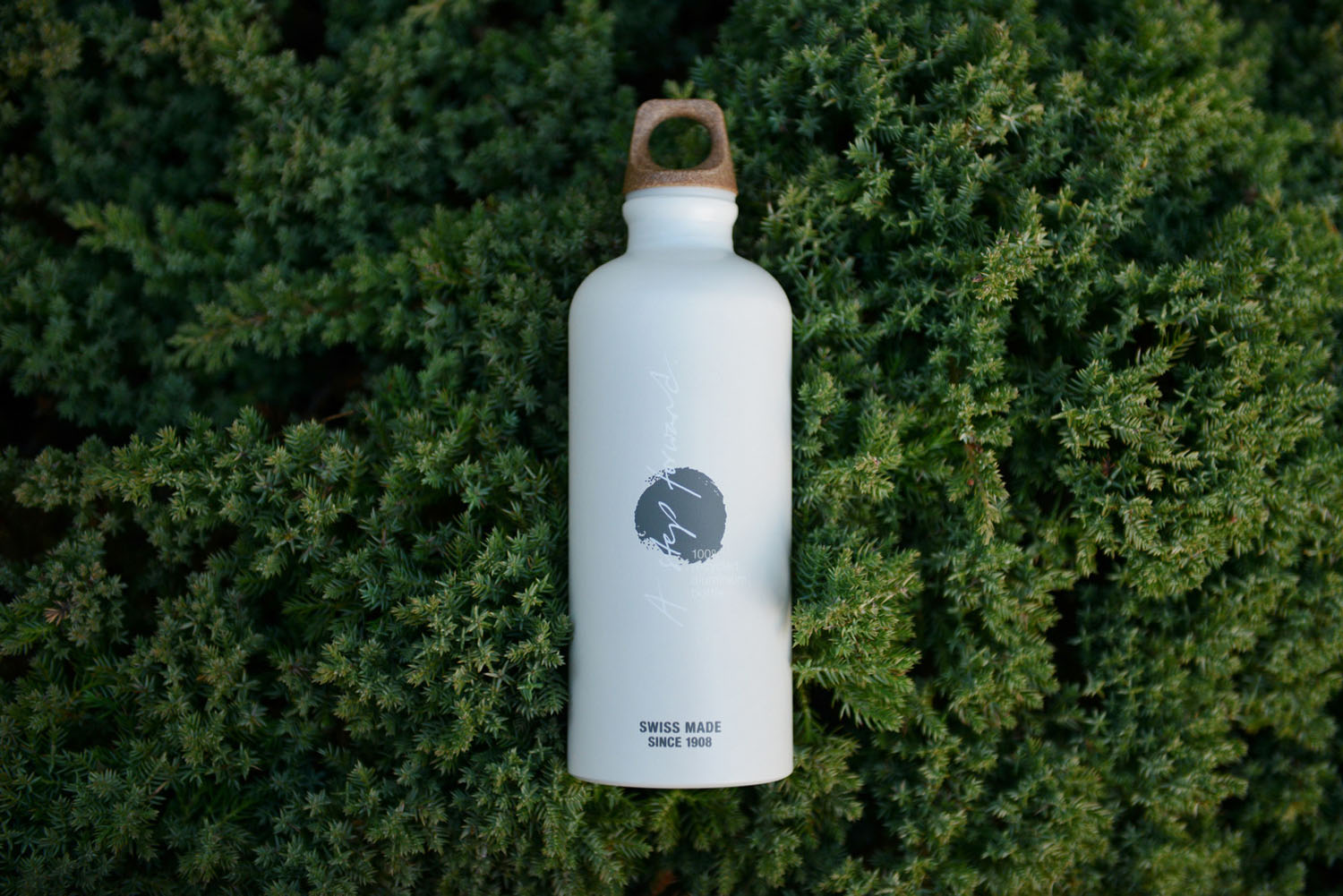Gourde Sigg Traveller Myplanet Forward 0,6l