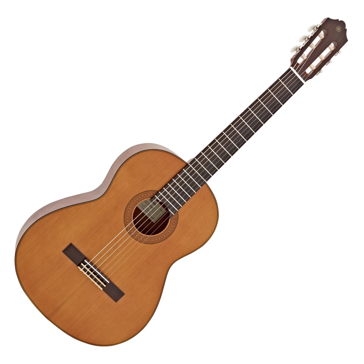 Yamaha Acoustic Guitar Advanced