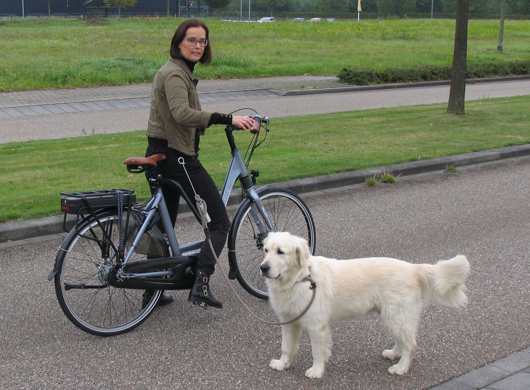 Support De Vélo Pour Chien M-wave - Sécurisez Vos Balades