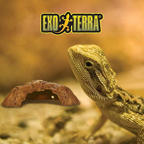 Exoterra Caverne Reptile Petit Modèle Pour Reptiles Et Amphibiens 18x10x6 Cm