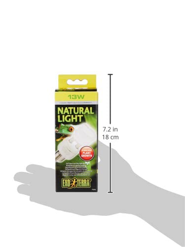 Exoterra  Ampoule Fluocompacte Natural Light