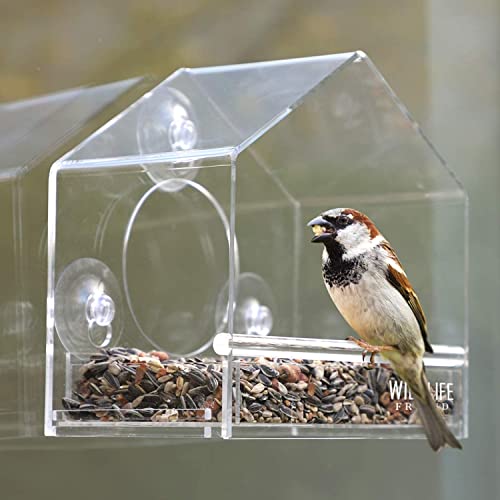 Wildlife Friend I Mangeoire Oiseaux De Fenêtre Convient Aux Graines Pour Oiseaux Sauvages - Nichoir Oiseaux Exterieur Ex