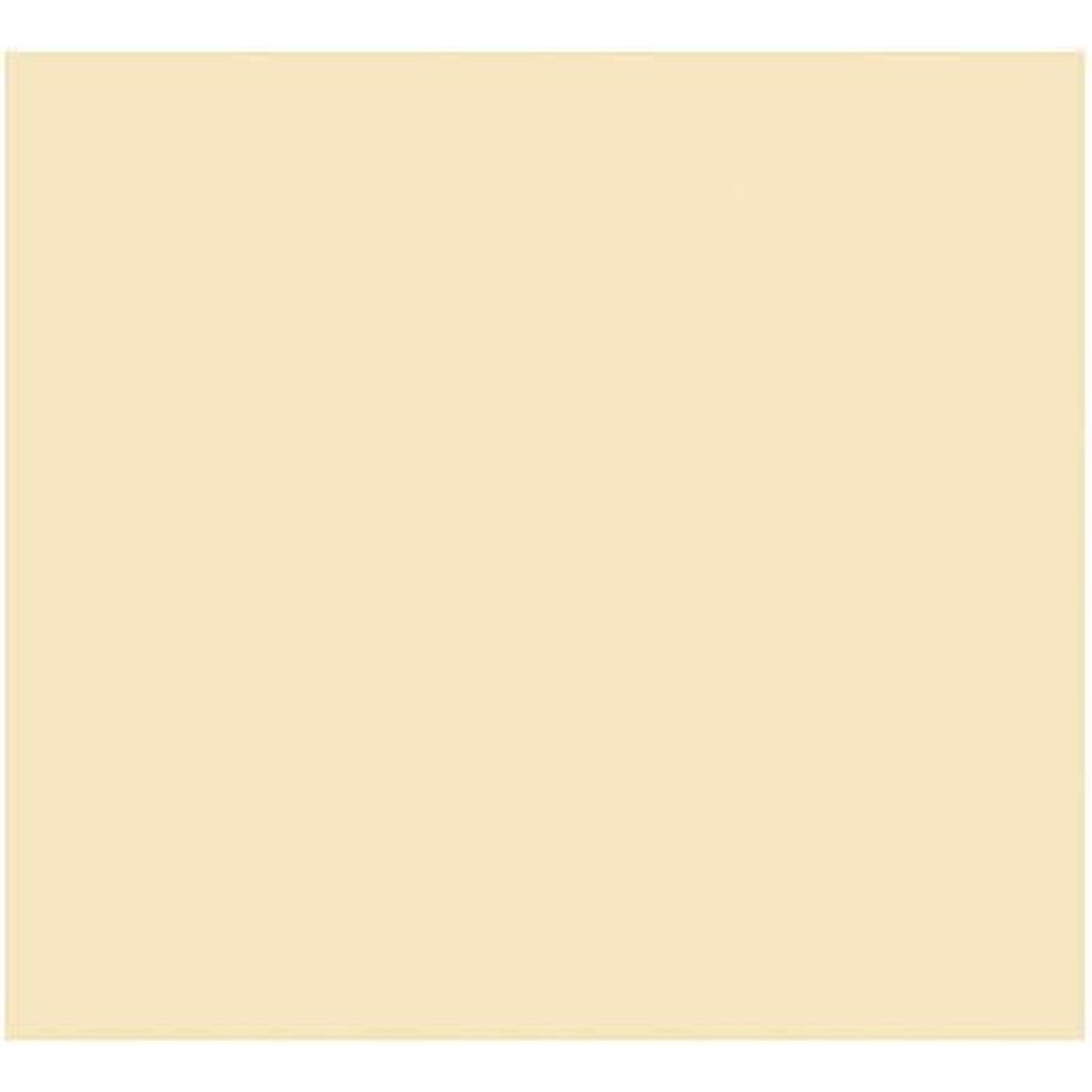 Papier Carton Iris Beige 50 X 65 Cm (25 Unités)