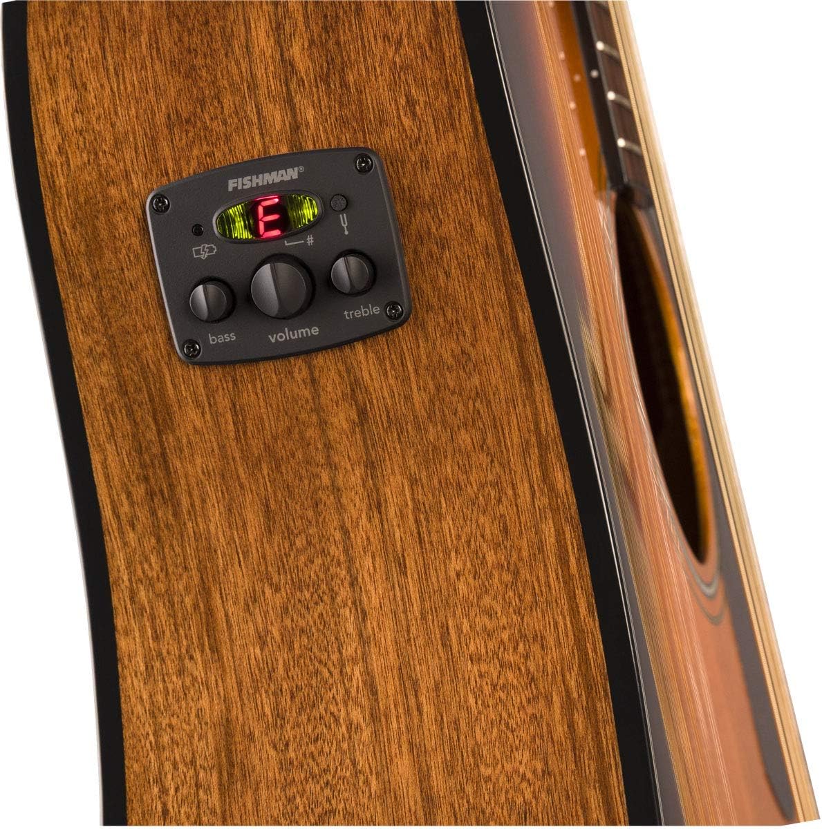 Fender Acoustic Guitar Advanced