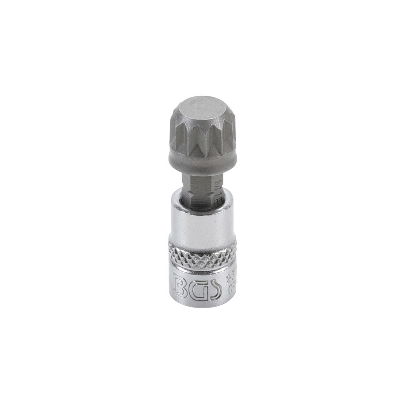 Mors De Filet Showman En Acier Inoxydable Avec Embouchure En Fer Doux