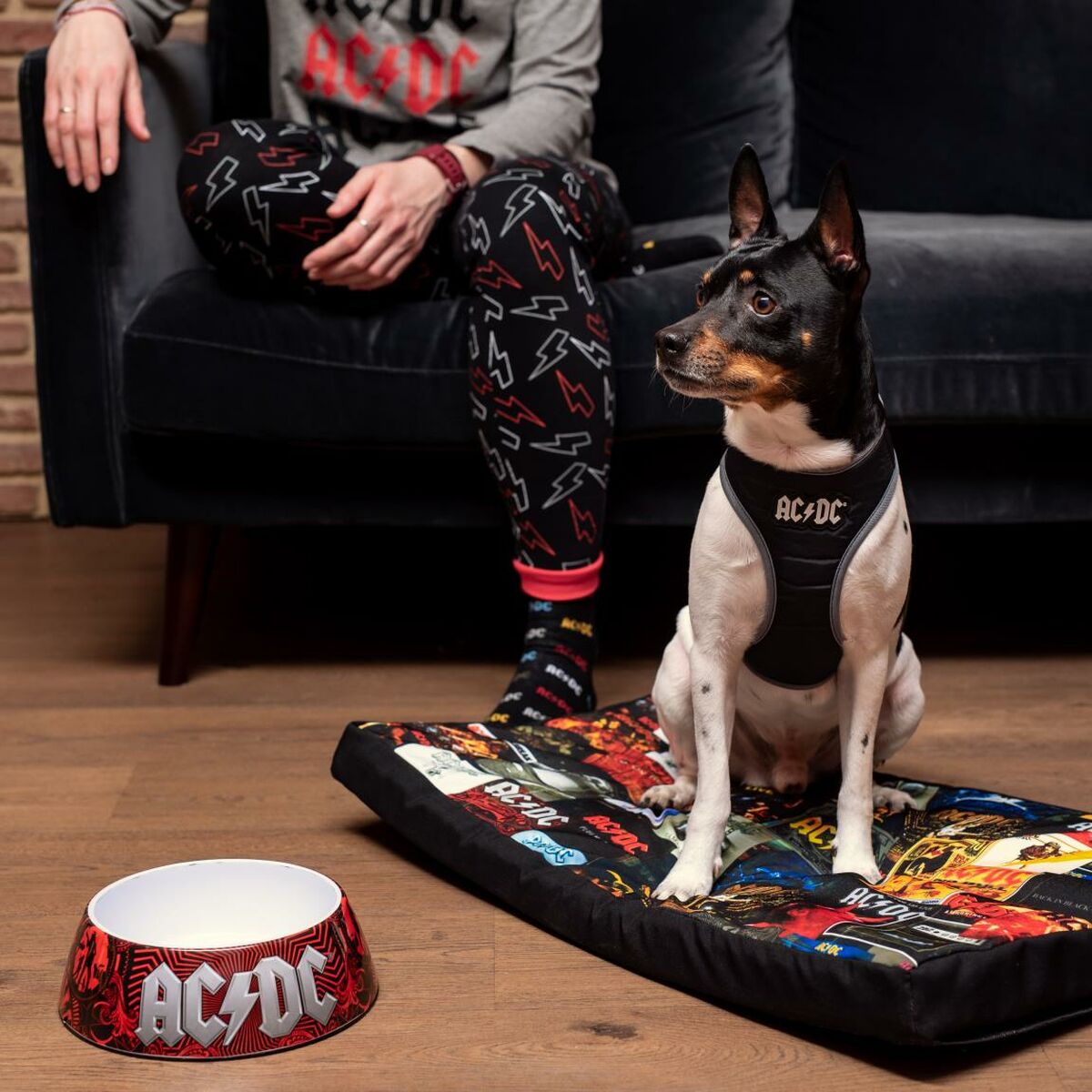 Lit Pour Chien Acdc Bleu
