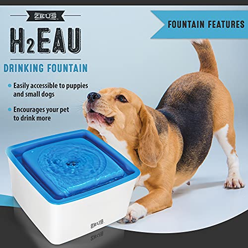 Zeus Dog Mini Fontaine À Eau Pour Petit Chien Et Chiot 1,5l