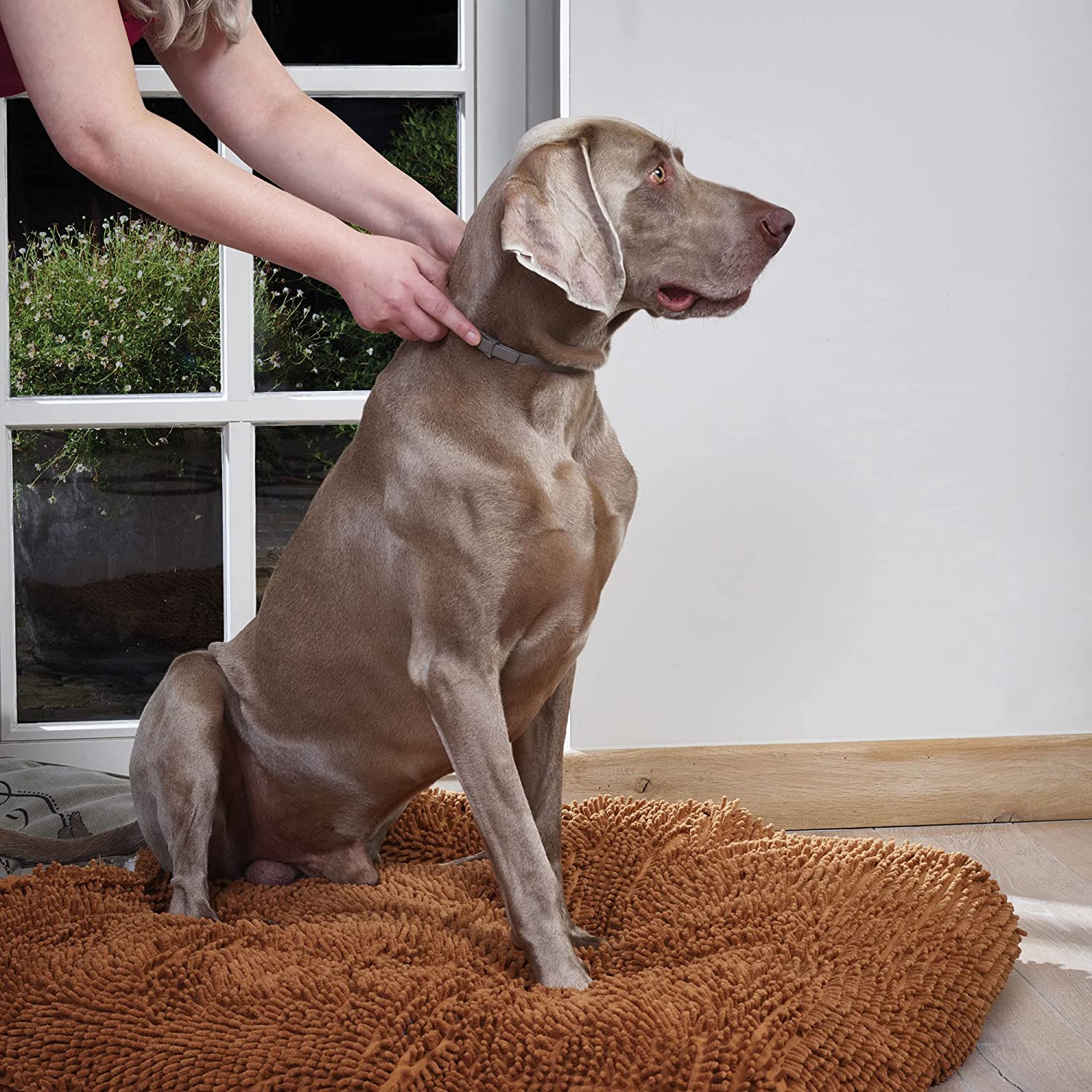 Beaphar Canicomfort Collier Calmant Aux Phéromones Pour Chien
