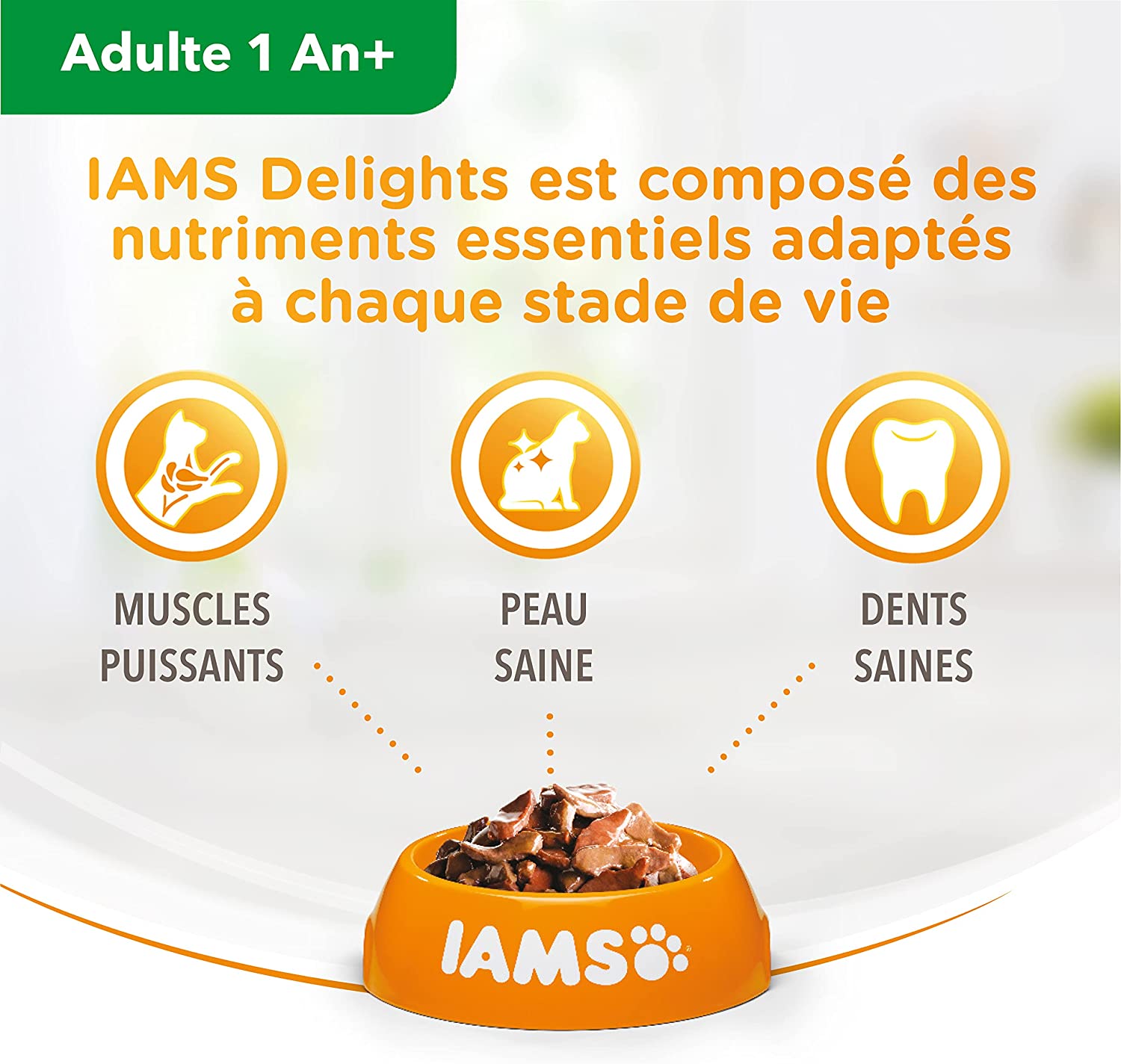 Sachets Iams Chat Adulte En Gelée  Mer "sea Collection" 12 Sachets X 85g